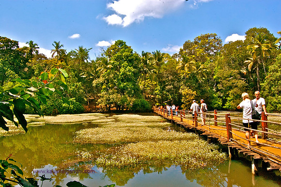 Goa