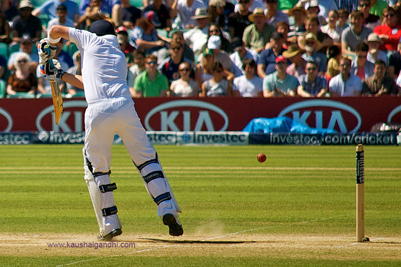 Cricket