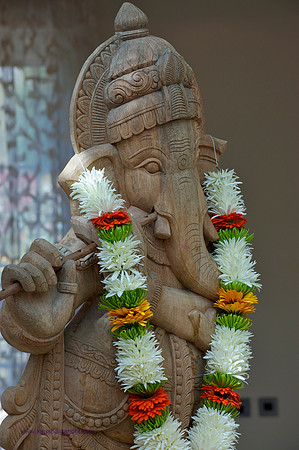 Indian Wedding