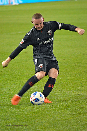 New York Red Bulls