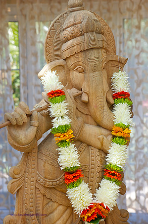 Indian Wedding