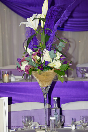 Indian Wedding