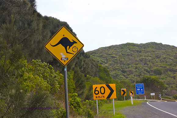 Great Ocean Road, Australia
