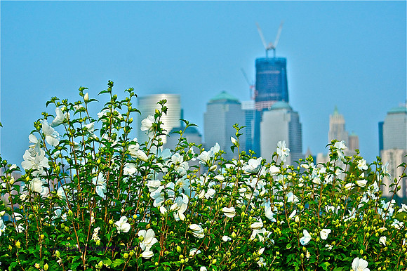 Views of Manhattan from TheJC.