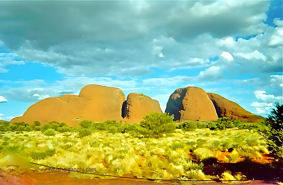Olgas2-new