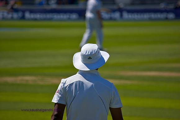 Cricket
