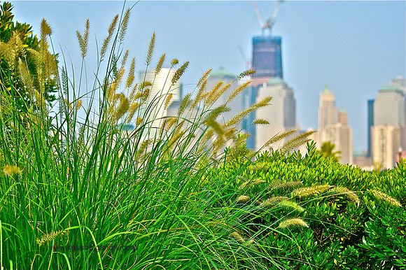 Views of Manhattan from TheJC.