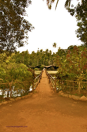Goa